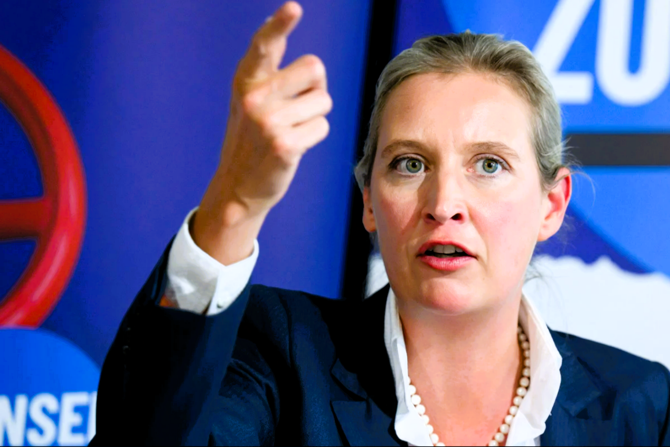 Umfrage-Hammer! AFD stürzt plötzlich ab! Massenproteste zeigen Wirkung gegen die Rechtspopulisten
