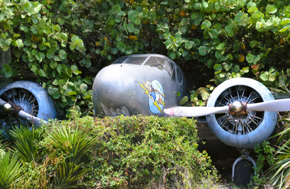 Flugzeugabsturz  - 4 Kinder überleben 17 Tage alleine im Regenwald!